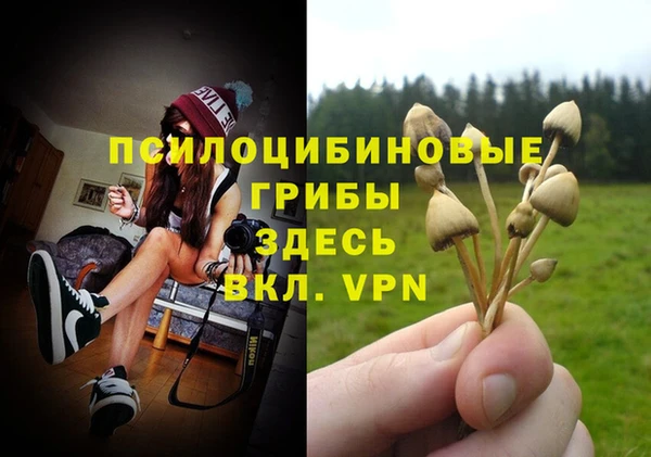 гидропоника Костерёво